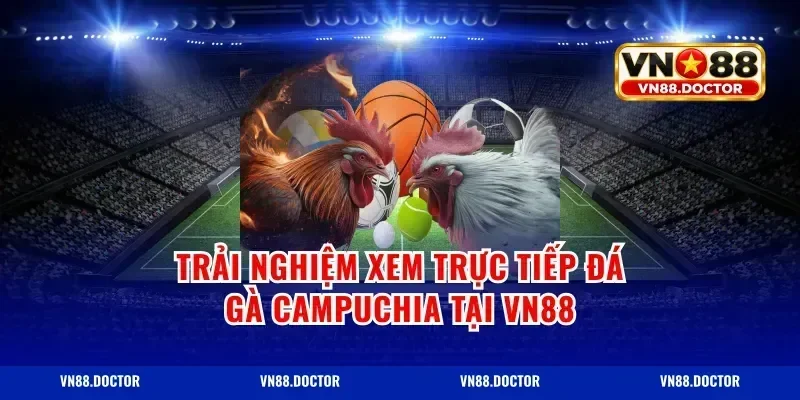 Trải Nghiệm Xem Trực Tiếp Đá Gà Campuchia Tại vn88