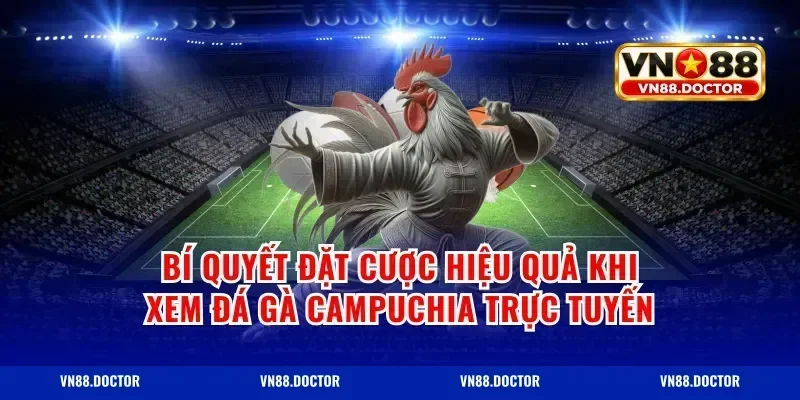 Bí Quyết Đặt Cược Hiệu Quả Khi Xem Đá Gà Campuchia Trực Tuyến