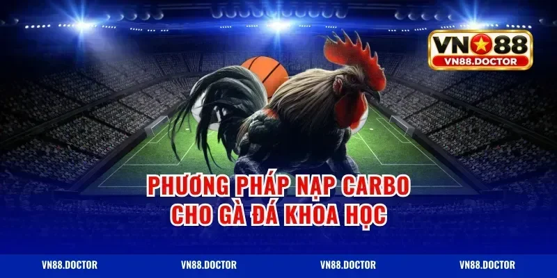 Phương pháp nạp carbo cho gà đá khoa học